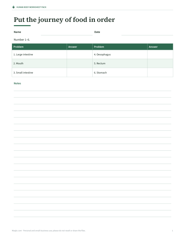 Preview of Printable Digestion Sequence Worksheet